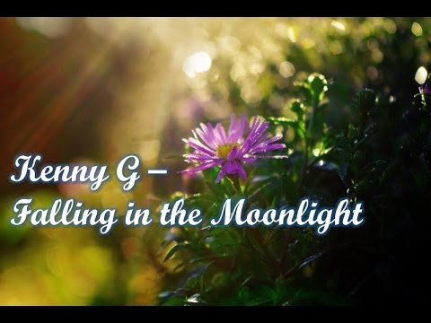 download lagu mp3 mp4 Kenny G Falling In The Moonlight, download lagu Kenny G Falling In The Moonlight gratis, unduh video klip Kenny G Falling In The Moonlight