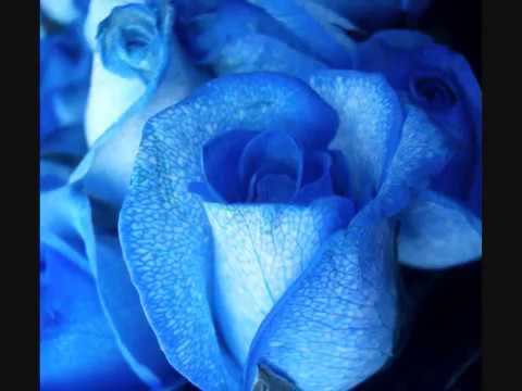 download lagu mp3 mp4 Preisner Farewell, download lagu Preisner Farewell gratis, unduh video klip Preisner Farewell