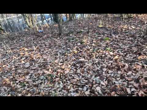 Varrezat e vjetra Biçec