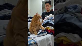 Download lagu Oyen was ready to relax... then got assigned more work. 😆 mp3