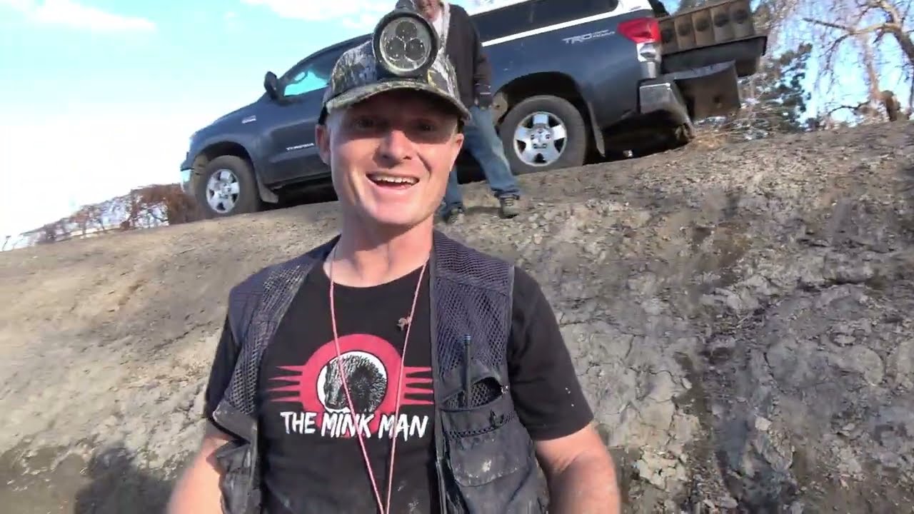 4 Muskrats with 4 Young Mink