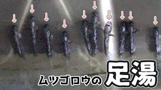 【水族館】そうだ、水族館へ行こう。　マリンピア日本海【新潟】