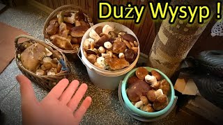 Miniaturka - OGROMNY WYSYP PRAWDZIWKÓW - GRZYBY 2022 #4 (wrzesień 2022)