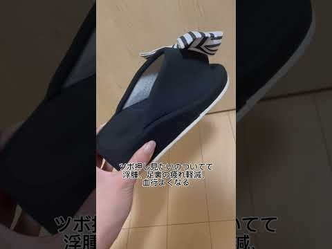 園芸 Calceolar calynospsis、小さなスリッパ