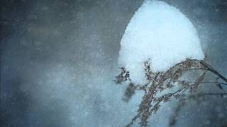 Harold Budd - Color - Winter Quiet II