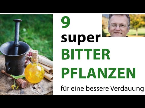 9 super BITTERPFLANZEN für eine bessere Verdauung und mehr