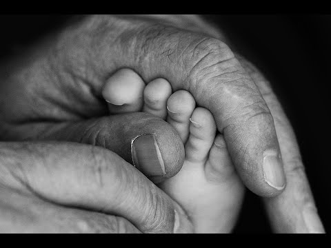 Віктор Павлік - Бо в сні відлітаю - versiion 2022 (Mood Video)