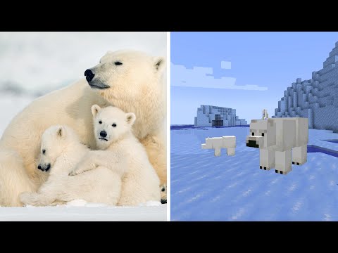 The Real Animals of Minecraft | Pixel Zoo | BBC Earth Kids