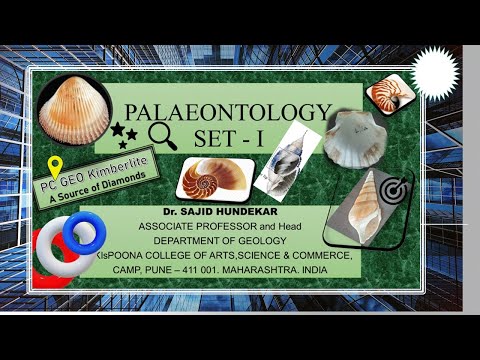 Palaeontology: -Lamellibranchia, Gastropoda and Cephalopoda