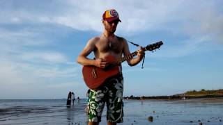 Say That You Love Me - Loudon Wainwright III cover