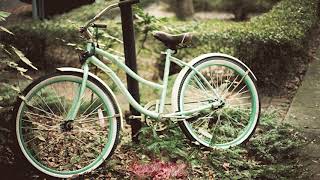 prima - autumn leaves