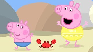 Peppa Pig English Episodes | Peppa Pig meets Mr Crab! Peppa Pig Official