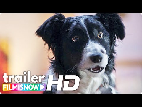 Cats & Dogs 3: Paws Unite (2020)  Trailer