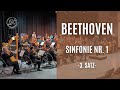 Beethoven - Sinfonie Nr. 1 in C, Op. 21 - 3. Menuetto | Louis Spohr Orchester Braunschweig