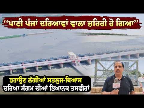 The Dark Truth : Punjab Rivers Water is Becoming Poison |ਡਰਾਉਣ ਲੱਗੀਆਂ Sutlej-Beas ਦੀਆਂ ਭਿਆਨਕ ਤਸਵੀਰਾਂ