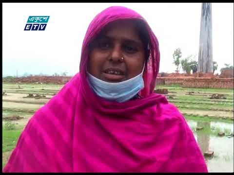 ইটভাটার বিষাক্ত গ্যাসে প্রায় তিনশ একর জমির ফসলসহ বিভিন্ন মৌসুমী ফলের ক্ষতি