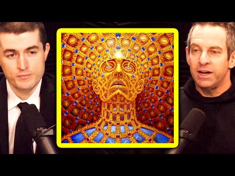 Sam Harris on DMT and self-transforming machine elves