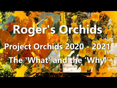 Project Orchids 2020 - 2021 - The 'What' and the 'Why'