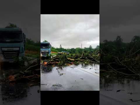 🚨 TEMPORAL CAUSA CAOS NA REGIÃO DE CRUZ ALTA (RS) #panambi #riograndedosul #urgente  #trânsito