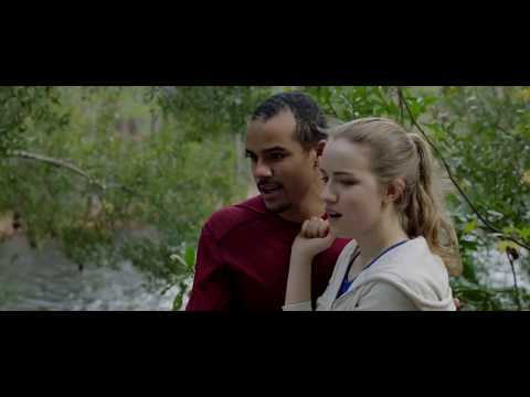 Я заберу твои деньги трейлер