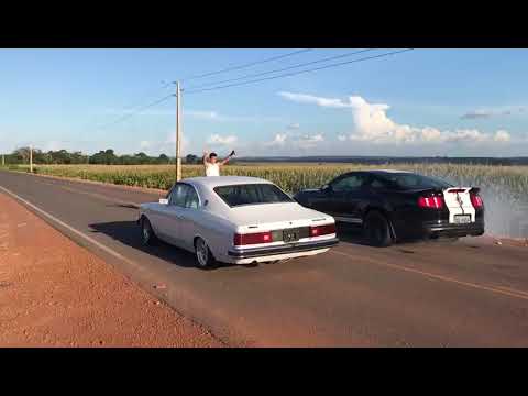 Opala '81 x Shelby Super Snake