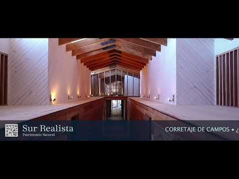 Serie Caballos / Clasificatorio Zona Norte - Melipilla 2025