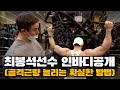 레슨레슨 2편 IFBB최봉석선수 (골격근량 늘리는팁)