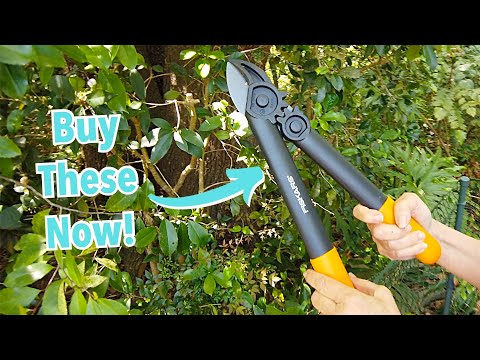 We Found the BEST Loppers for Lawn Care!