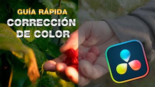 Guía Rápida de CORRECCIÓN DE COLOR en DaVinci Resolve