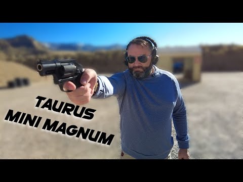 Taurus 650 Review