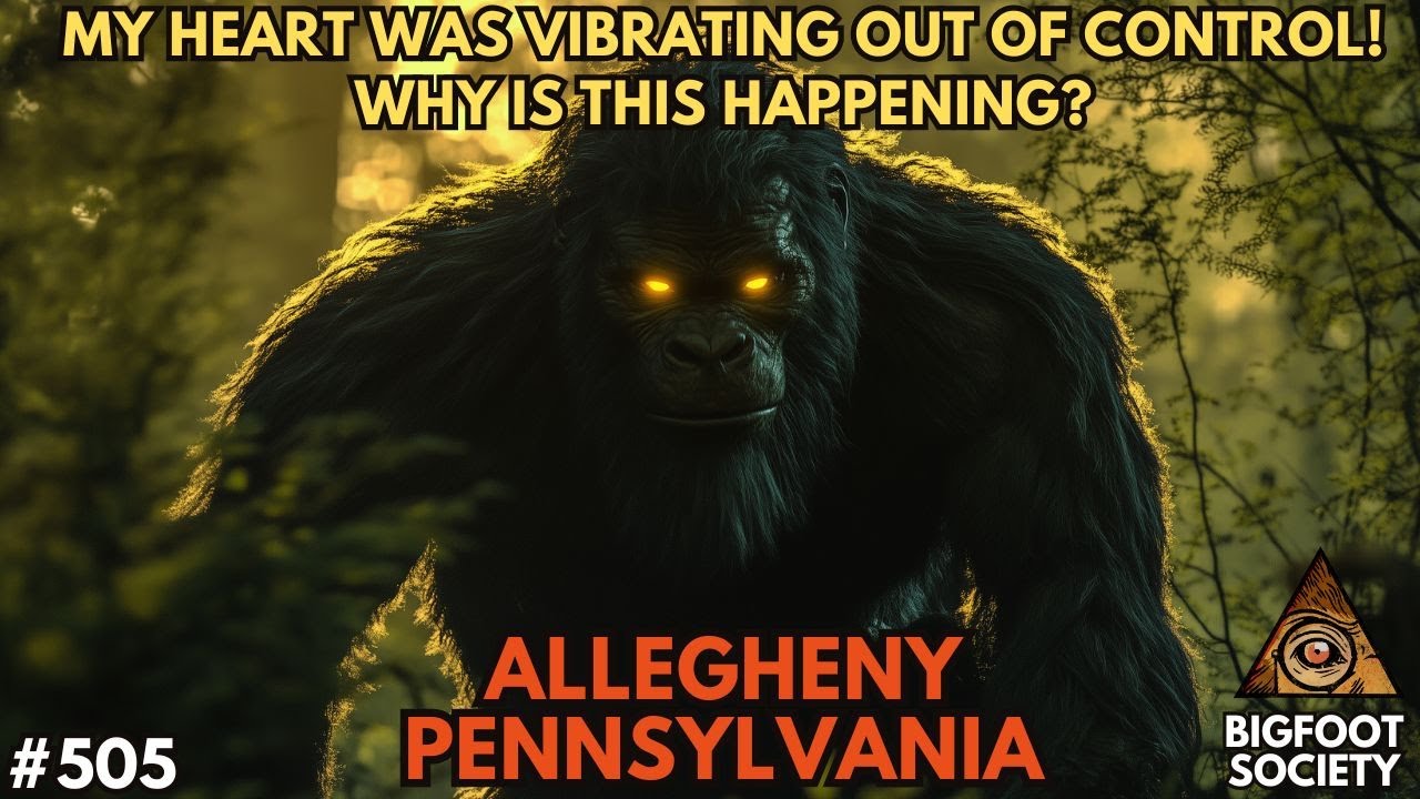 The Roar in Allegheny with Amy Bue