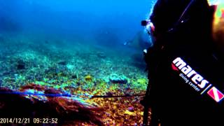 preview picture of video 'Journey to Freedom Episode Labuan Bajo Underwater (Desember 2014)'