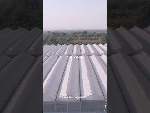 Video Gallery