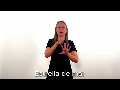 Estrella de mar - LSC