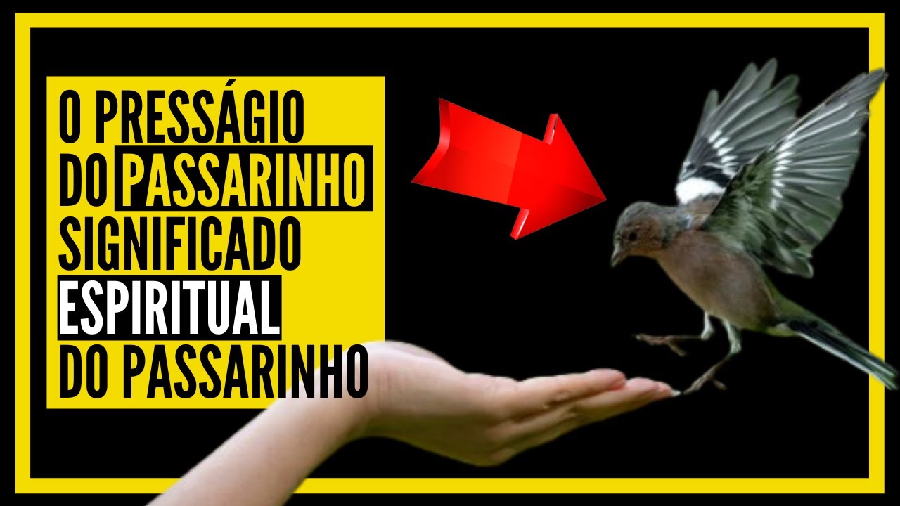 o presságio do passarinho - SIGNIFICADO espiritual do passarinho