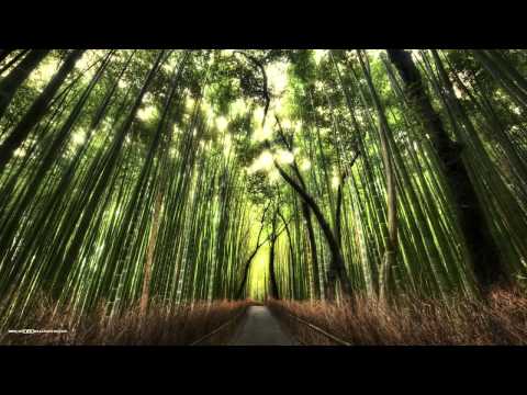 Rainbow Addict - Hide Me From The City Lights (Original Mix)