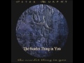 Peter Murphy - The Scarlet Thing in You (1995)