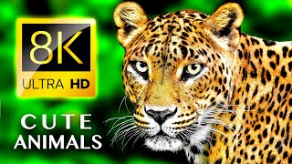 Download lagu CUTE ANIMALS 8K ULTRA HD... mp3