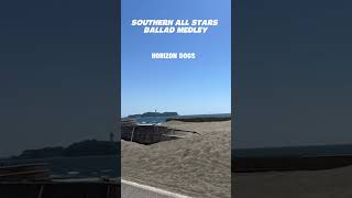 SOUTHERN ALL STARS BALLAD MEDLEY / HORIZON DOGS