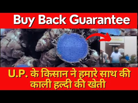 POPLAR CONTRACT FARMING