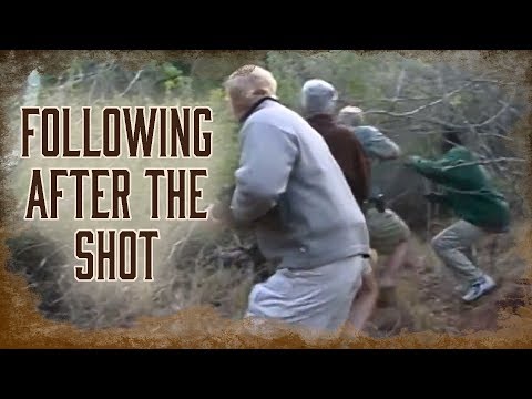 Following Up After the Shot on Lions or Leopards | 10