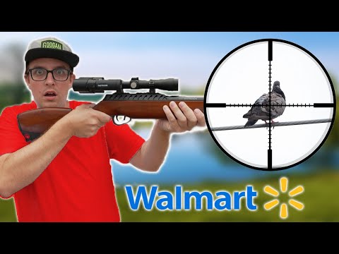 I Bought Walmart's Most Expensive Air Rifle