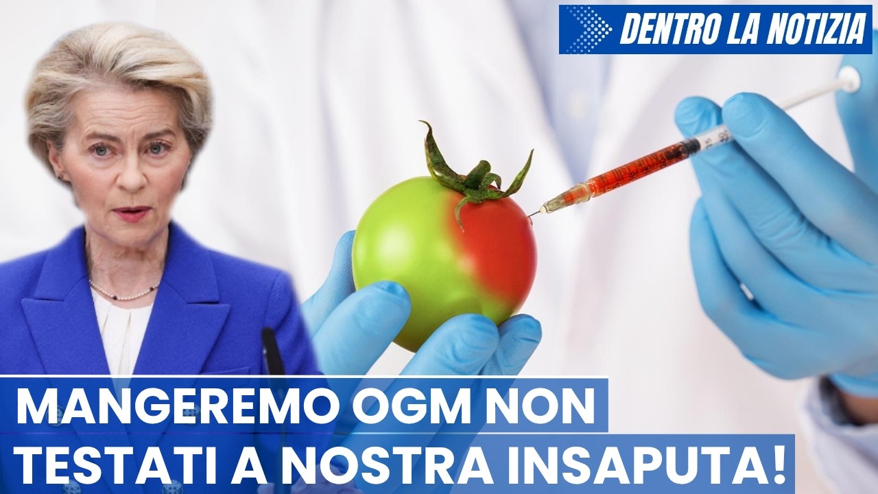 L'UE adotta il regolamento sulle NGT: i consumatori non sapranno se mangiano cibi OGM, mai testati!