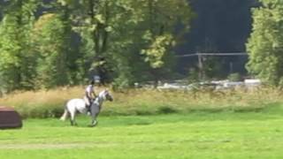 Cloudy de LuneSE (Clair de LuneSE x Sulphurs Class Act XX)