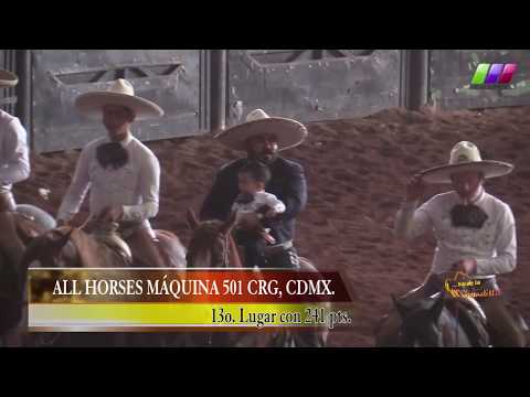DLM278 080220 Bloque 3   2 Torneo Guadalupano Pachuca 2019 All Horses Máquina 501
