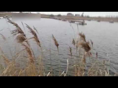 Якутские военнослужащие в зоне СВО устроили рыбалку Якутские военнослужащие в зоне СВО устроили рыбалку