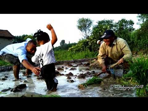 Old popular Newari ropain song (Nepali farmer's Song)