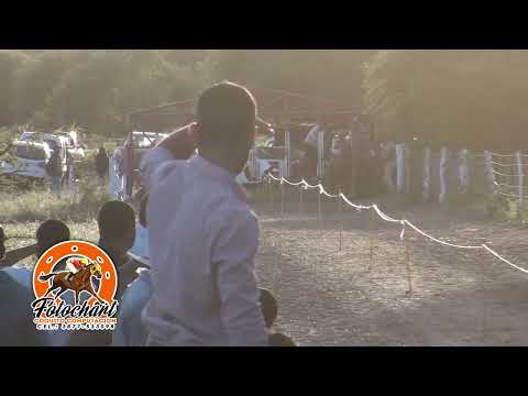 Marilyn Vs Matecocido  - HIPICO LA TRADICION