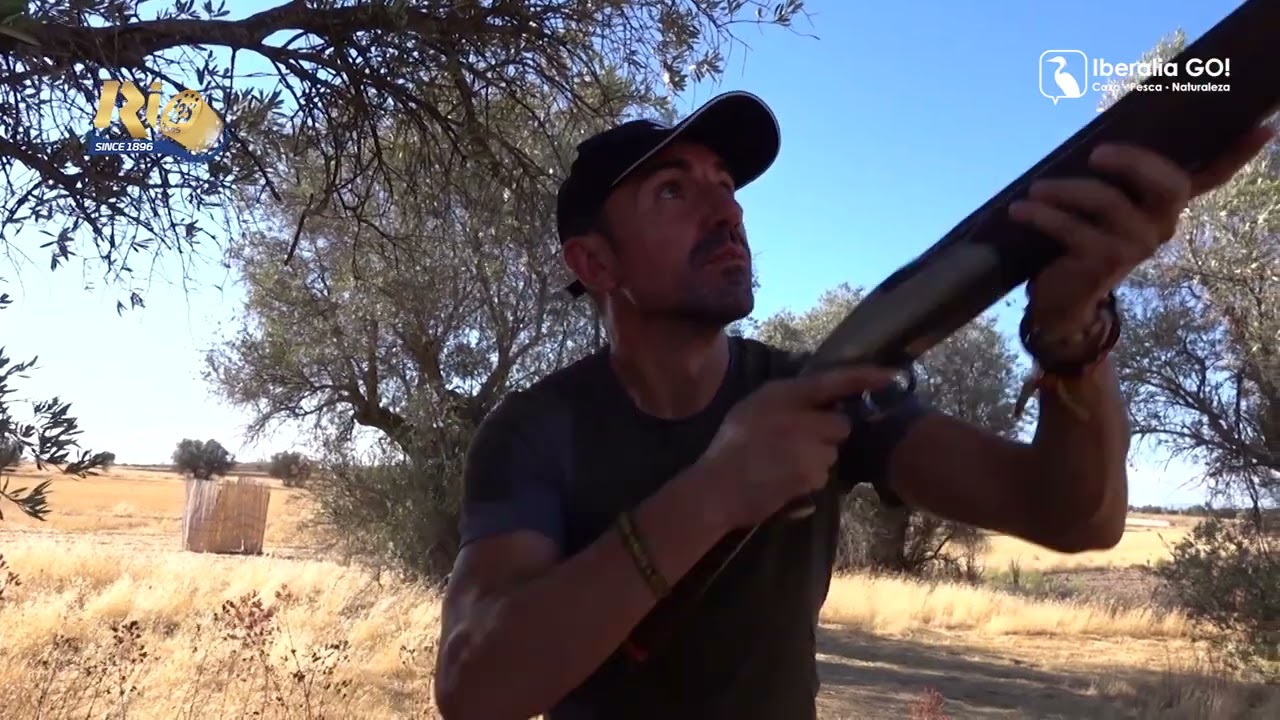 Cartucho Rio Oro 41 CAL.12 - 32GR. | Iberaliago