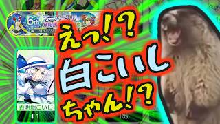 【東方ロストワード】動画が撮れない中、最推しをゲットできました【報告＆茶番】